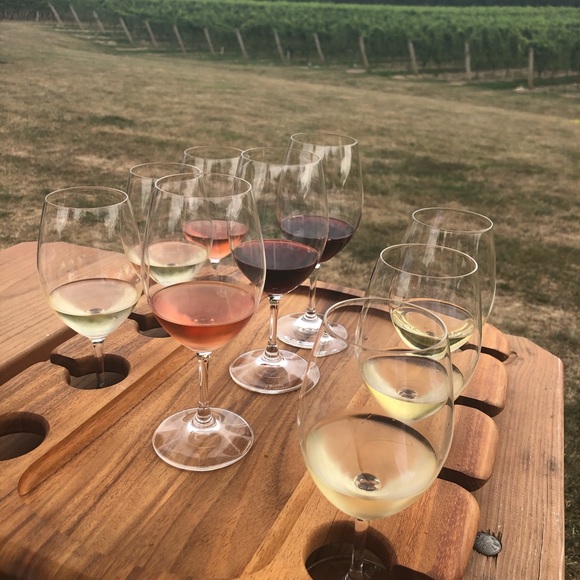 Meet your Posher, Dana - Picture 3 of 5